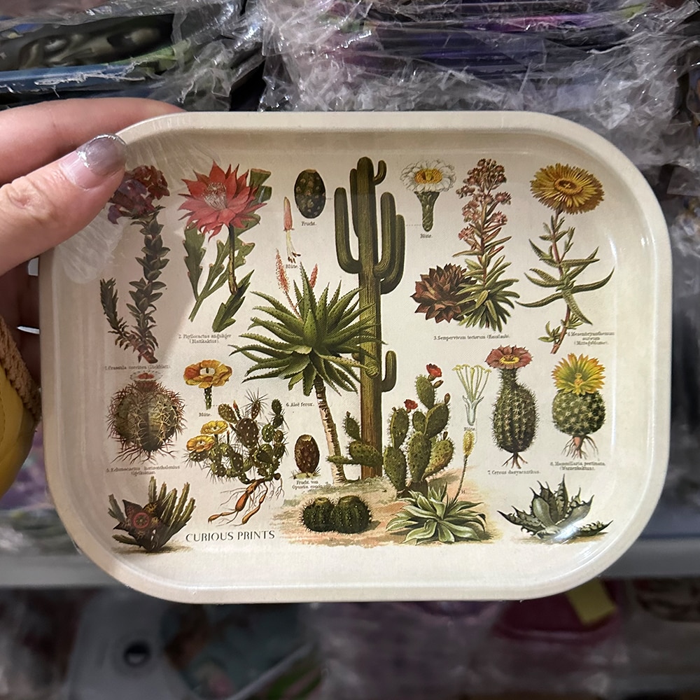 Plants Park Tinplate Plate Cartoon Rolling Tray 18 14 CM Weed Storage Tray Small Plate Tobacco - Rolling Tray Shop